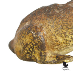 Vienna Bronze hondje Oostenrijks coldpainted miniatuur ca 1900 2