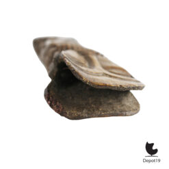 Gesneden waterbuffel totem Afrika uit been ca 1900 7